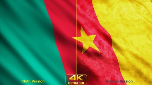 Cameroon Flags