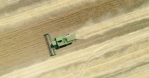 Moissonneuse-batteuse moderne travaillant sur la culture du blé. Vue aérienne.
