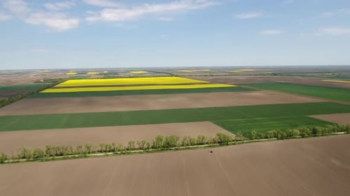 Aerial View of Rural Farm Fields on Sunny Day