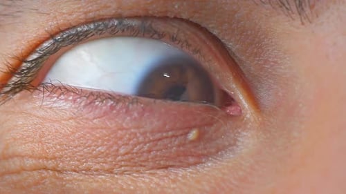 Macro Shot of a Brown Human Eye