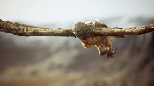 Cinematic Animation of a Majestic Eagle in Powerful Flight