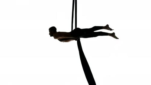 Man Dancer on Aerial Silk, Aerial Contortion, Aerial Ribbons, Aerial Fabric in Posing Exercise