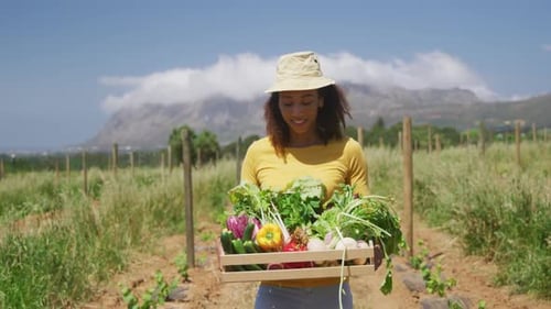 Woman Farmer Carrying Fresh Vegetables in Field