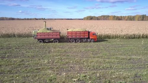 Side View Corn Combine with Truck Gathers Corn Mass