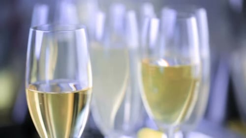 Elegant Champagne Flutes for Celebration