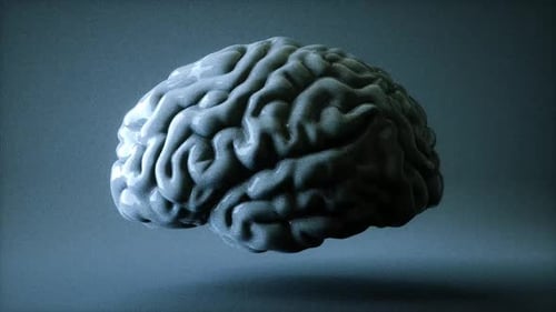 Conceptual 3D Brain Rotation for Science and Medical Projects