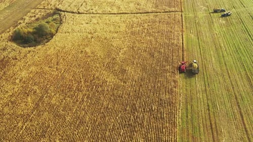 Aerial View Of Rural Landscape. Combine Harvester And Tractor Working In Corn Field. Collects Dry