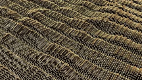 Golden Plexus Wave