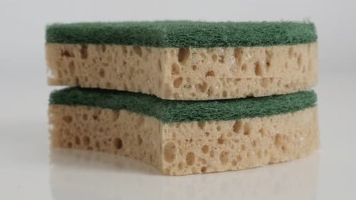 Two-Layer Sponge Close Up