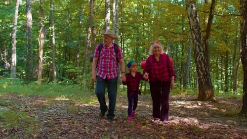 Family Hiking Together in Green Forest Landscape