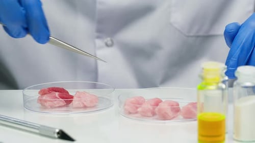 Lab Grown Meat Sample Being Tested