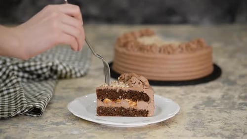 Chocolate Cake Slice Being Eaten with Fork