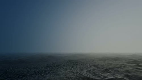 Foggy Sea