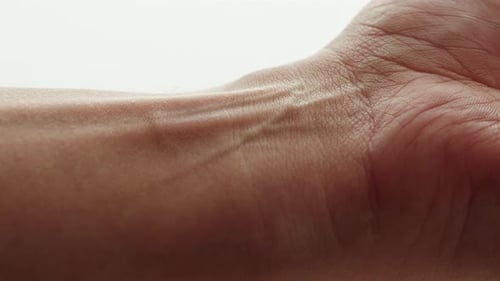 Macro of Adult Hand Showing Veins