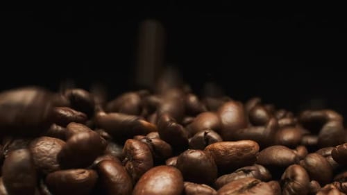 Timelapse. Falling Coffee Beans. Close-up.