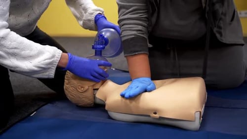 Adults Perform CPR on Medical Training Dummy