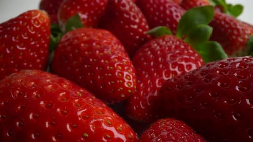Fresh Ripe Strawberries 53