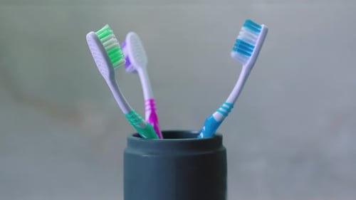 Three Toothbrushes in a Holder