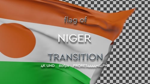 Realistic Waving Flag Transition Pack