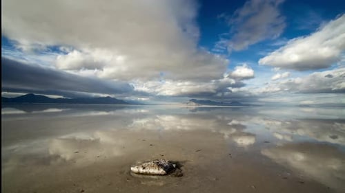 Time Lapse de nubes sobre las salinas de Bonneville