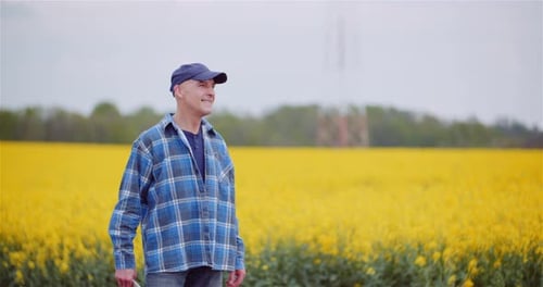 Farmer Examining Agricultural Field While Working on Digital Tablet Computer at Farm