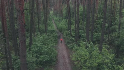 Female runner running in trail forest. Running woman in dense forest
