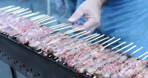 Meat Skewers Cooked on Grill Outdoors