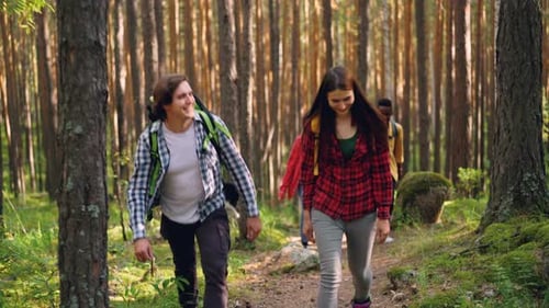 Adventurous Friends Are Trekking in Wild Woods with Backpacks and Talking Wearing Comfortable Casual