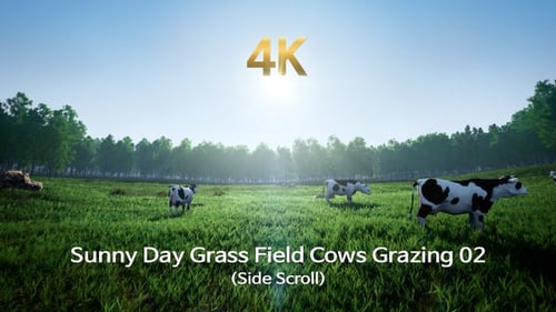 Sunny Day Grass Field Cows Grazing 02(Side Scroll)