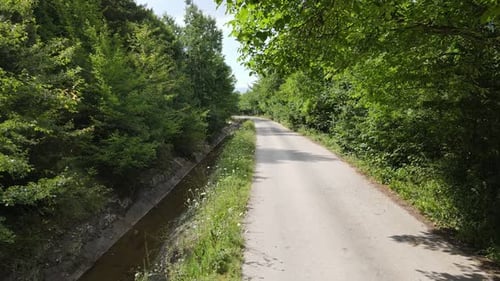 Asphalt Road Forest