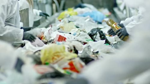 Workers Sort Recyclable Trash on Conveyor Belt
