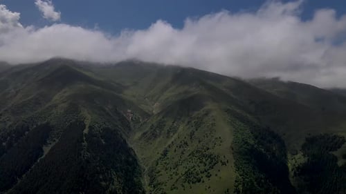 Alpine Meadows