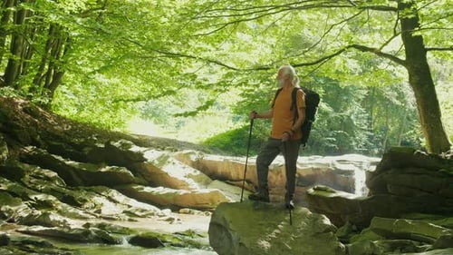 Senior Male Hiker with Backpack and Walking Poles Standing on a Large Rock