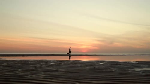 Woman and Dog Walk Along Sea Coast Under Sunset Sky While Traveling Spbi
