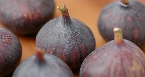 Ripe of Common fig