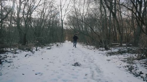 Hiker with Backpack Walking in the Pine Forest Covered with Deep Snow. Winter Activity and