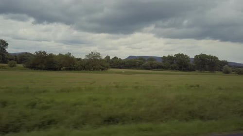 Moving background from a car.