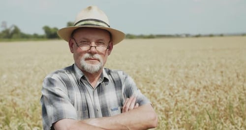 The Farmer in Hat and Glasses with Crossed Hands Looks at Camera in Wheat Field
