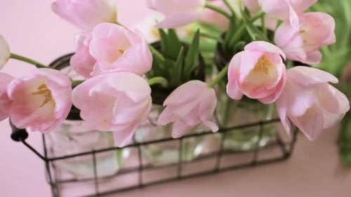 Arranging Pastel Pink Tulips in Glass Jars