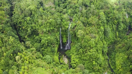Sekumpul Waterfall in the Rainforest - The Beauty of a Waterfall Among the Lush Green Leaves