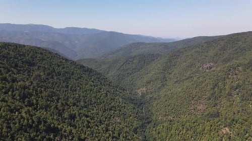 Montaña verde