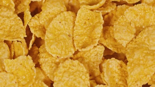 Golden Brown Corn Flakes Cereal in a Close Up