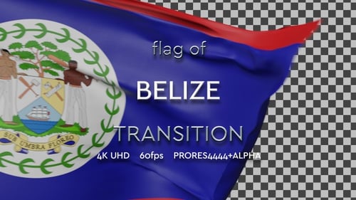 3D Waving Flag Transition Reveal