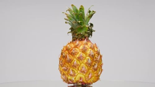 Rotating Pineapple on White Background