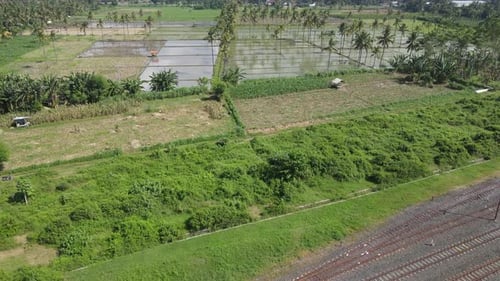 Aerial view of morning in rice field Indonesia
