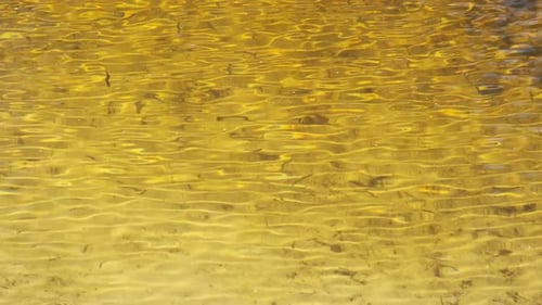 River Surface. Water Surface with Slight Ripples