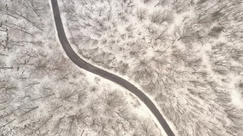 Winter scenery with road in the forest 4K drone footage