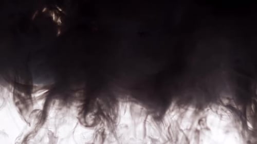 Black Ink Dissolving on White Background