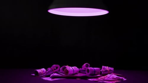 Pile of Euros Under Pinkish-Purple Light