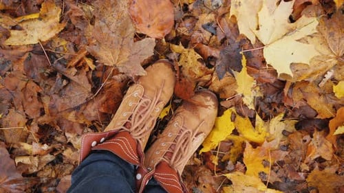 Boots Standing on Colorful Fall Leaves Outdoors